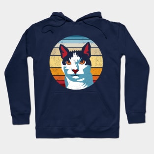 Angular Cat Vintage Distressed Hoodie